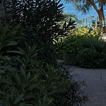 Garden Lefkanti Sea & Aparts
